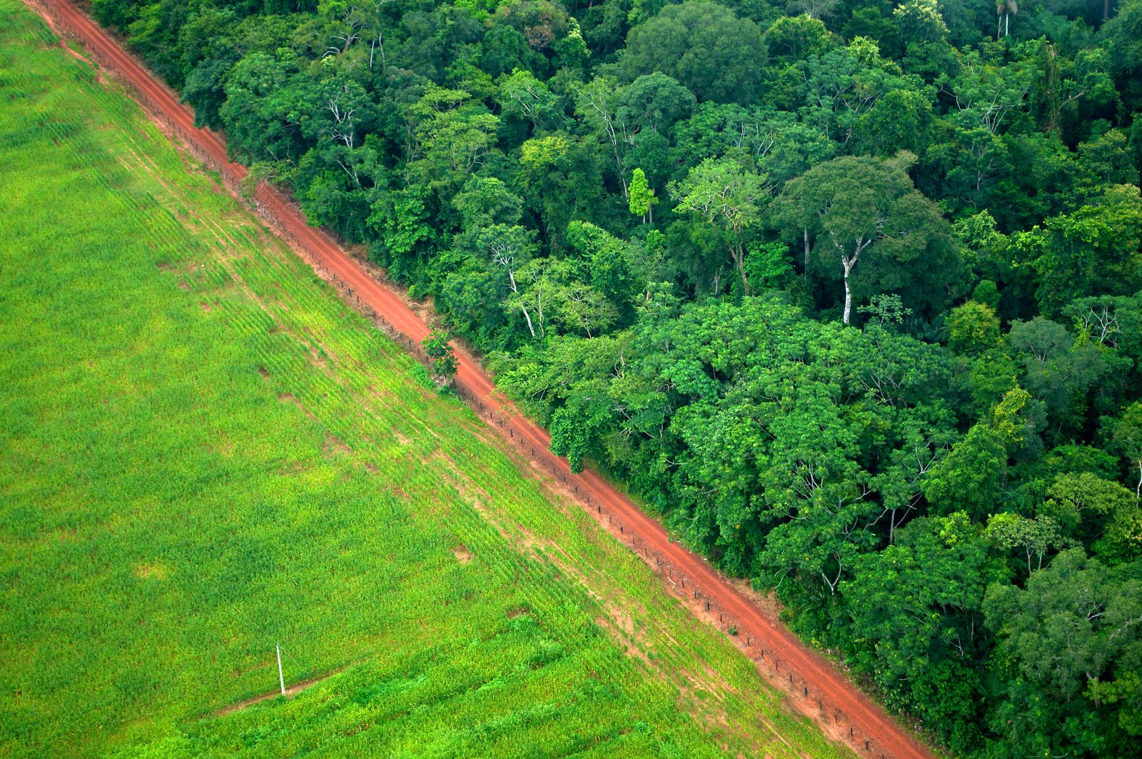 Aerial view of the boundary between rainforest and cleared agricultural land near Rio Branco, Acre, Brazil
