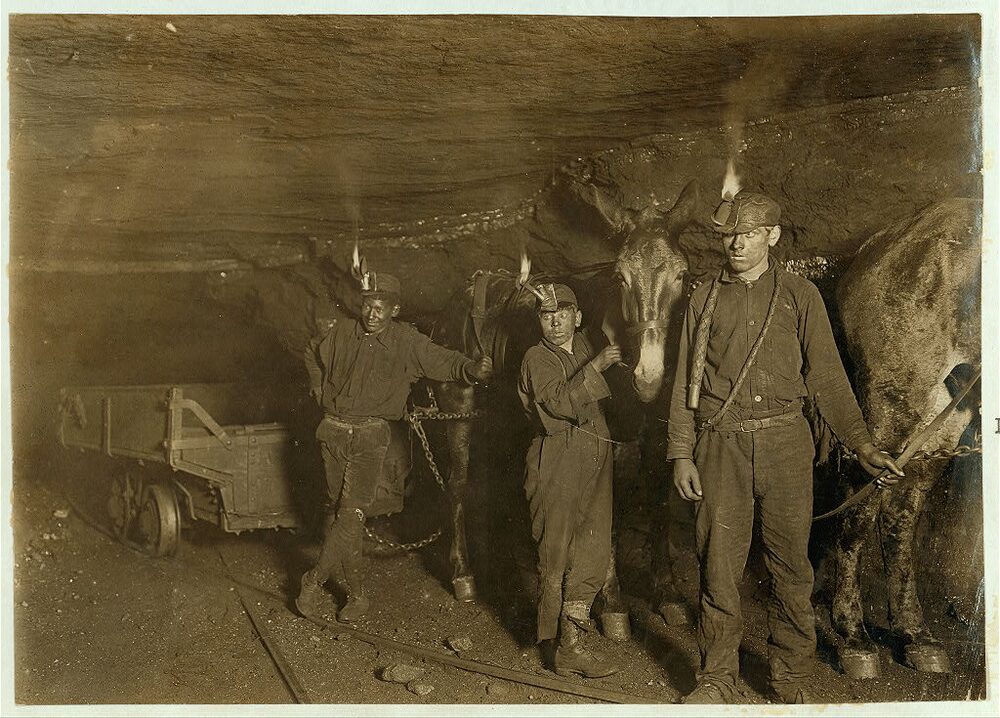 Child coal miners with mine mules in a West Virginia coal mine, 1908